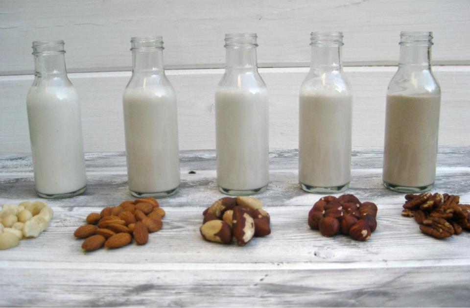  Te Gusta La Leche Vegetal Y No Sabes C mo Extraerla Te Lo Mostramos Aqu 