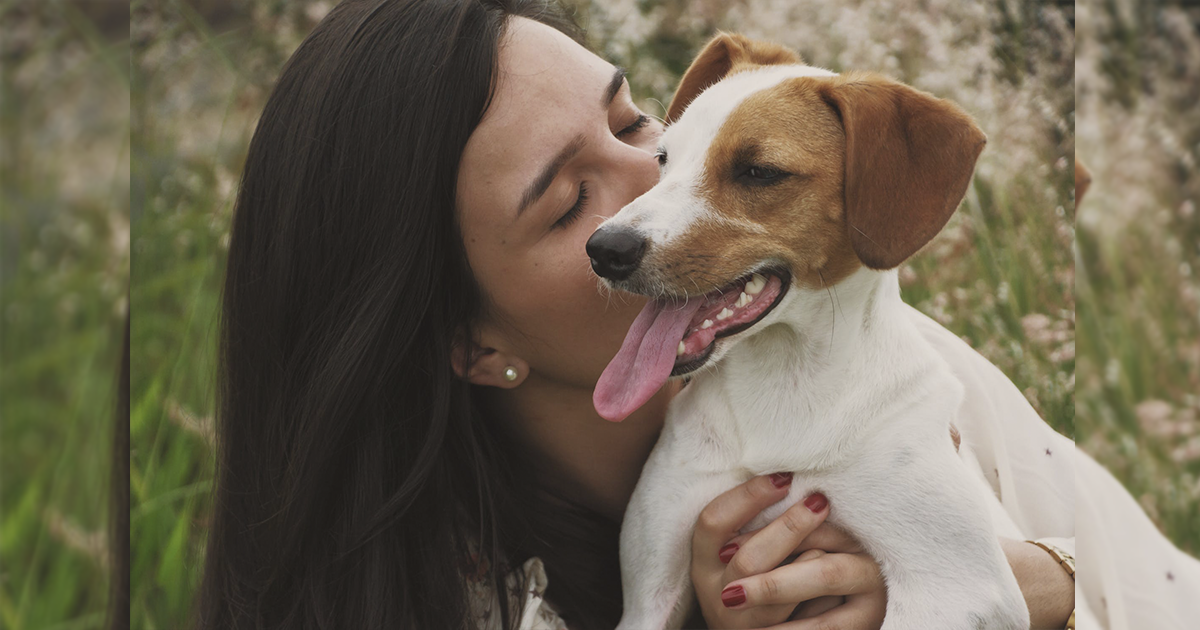 Perro Haciendo El Amor Con Mujer