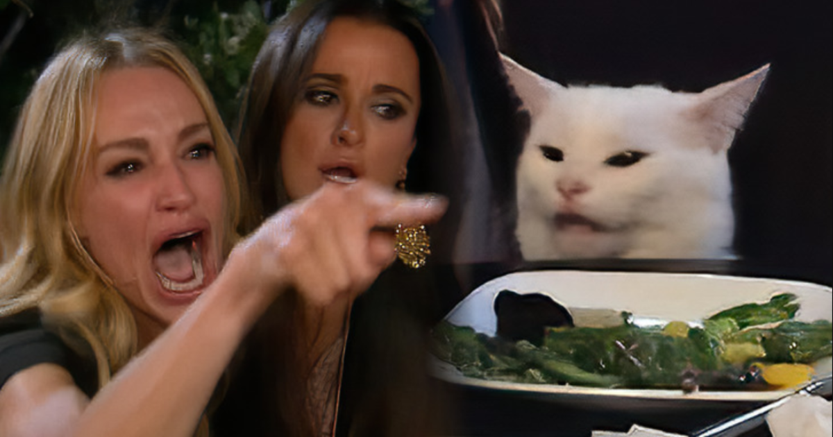 La historia del gato en la mesa y sus mejores memes FOTOS