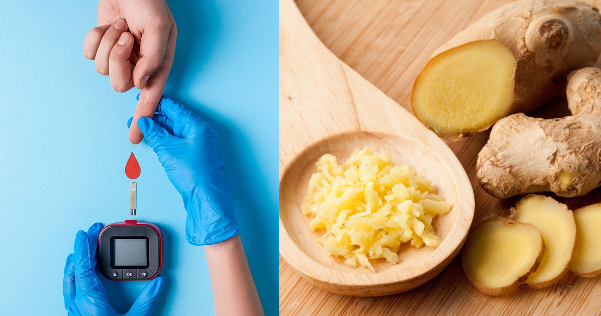 Diabetes Tipo 2 Plantas Medicinales Que Estabilizan Tus Niveles De Azucar