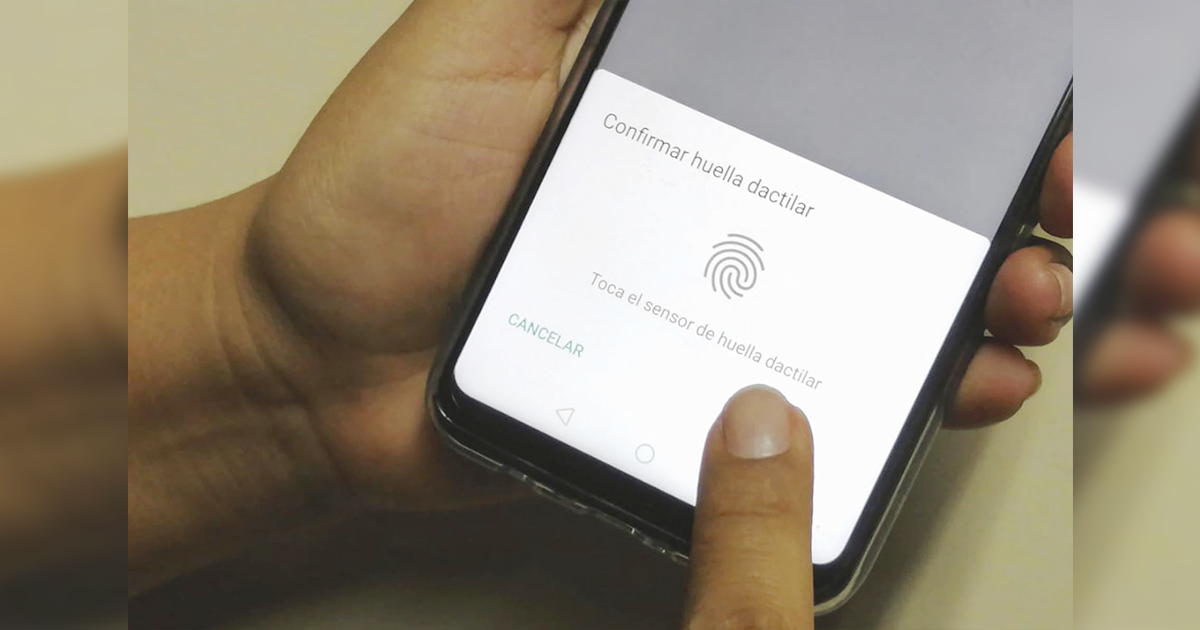 Mira Cómo Activar El Bloqueo De Los Chats Con Huella Dactilar En Whatsapp 9244