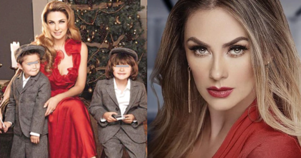 Aracely Ar Mbula Revel Los Planes Para El Futuro De Sus Hijos Con Luis Miguel