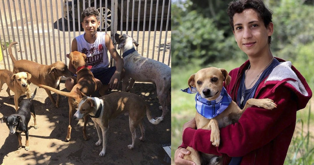 Tiene 17 años y abrió un refugio para animales abandonados ...