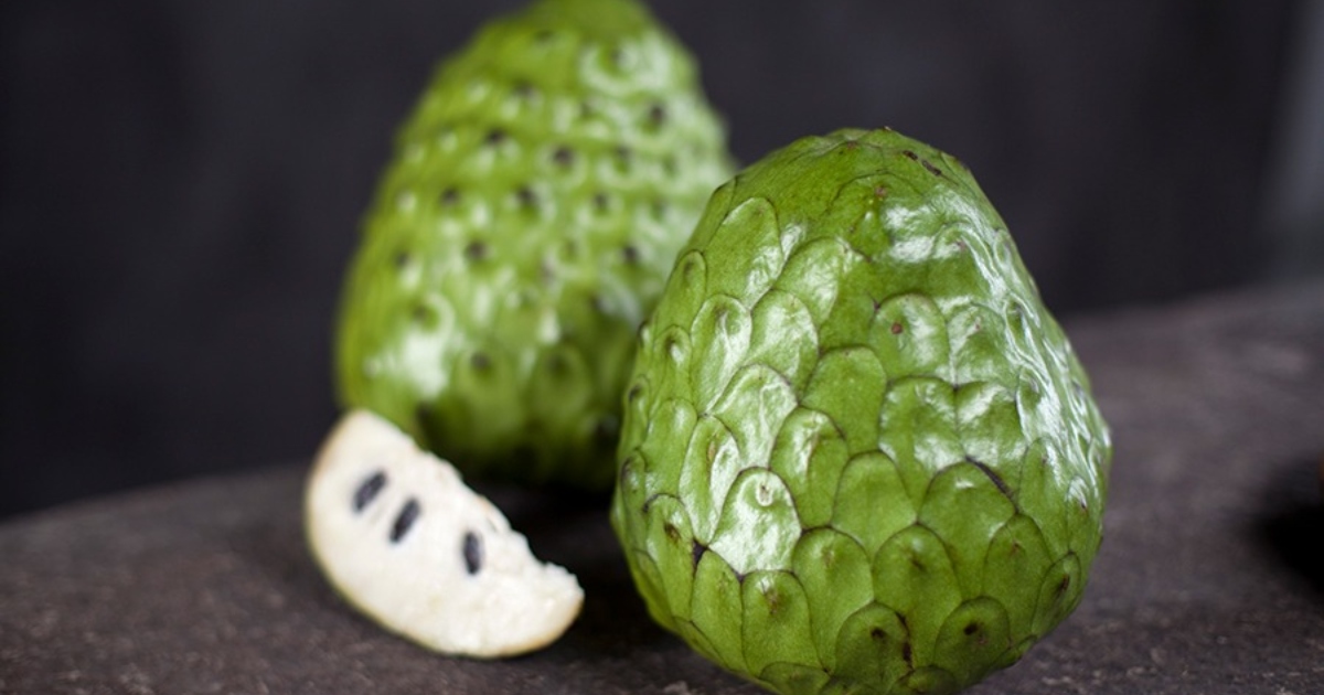Chirimoya conoce las bondades nutritivas y medicinales de esta fruta oriunda del Perú Chirimoya conoce las bondades nutritivas y medicinales de esta fruta oriunda del Perú