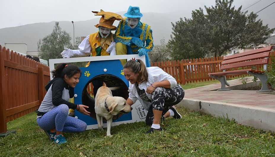 Parques Para Mascotas En Lima Los 7 Lugares Que Debes Visitar Con Tus