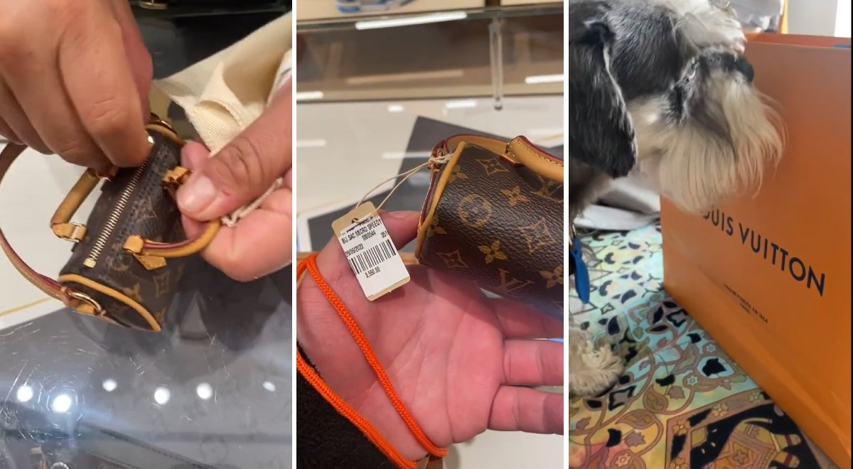 Louis Vuitton vende bolso de lujo para recoger heces de perro