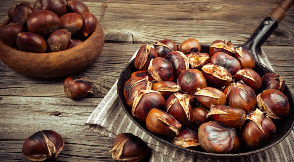 Consume castaña para reforzar tu sistema cardiovascular y combatir el ...