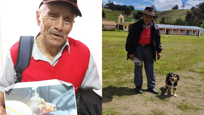¡Un final feliz! Adulto mayor se reúne con su perrito desaparecido ...