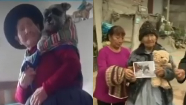 Adulta mayor de 103 años busca de forma incansable a su perrito Raylu ...
