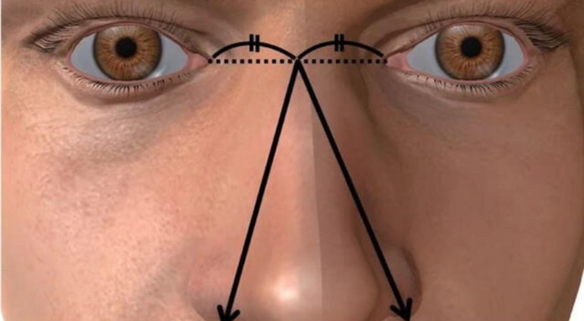 ¿El tamaño de la nariz de un hombre indica qué tan largo es su pene?