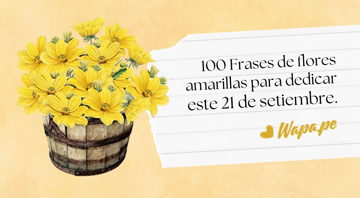 100 Frases Bonitas para Celebrar el Día de las Flores Amarillas Amor